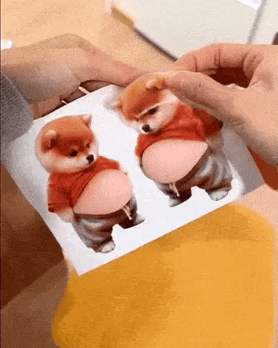 Why 50,000+ People Use This Chubby Dog Sticker on everything - Trendart