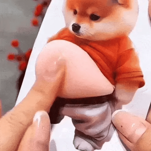 Why 50,000+ People Use This Chubby Dog Sticker on everything - Trendart